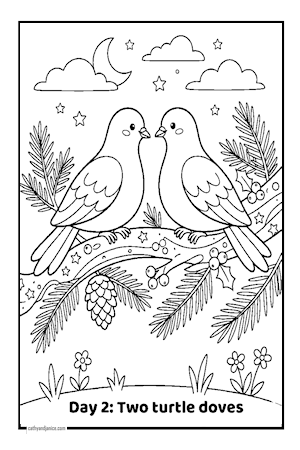 Day 2-Two turtle doves